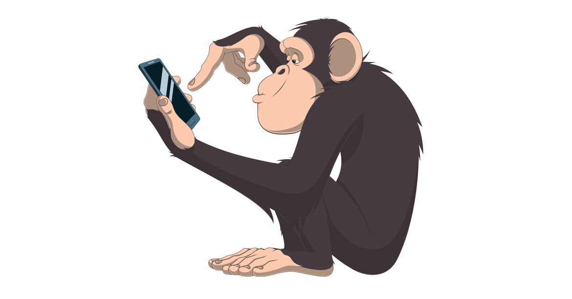 Chimps Are a Lot Cleverer Than Most of Us!