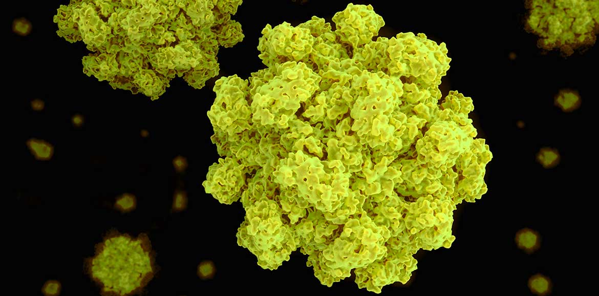 The Strange Tale of the Norovirus Bug in London