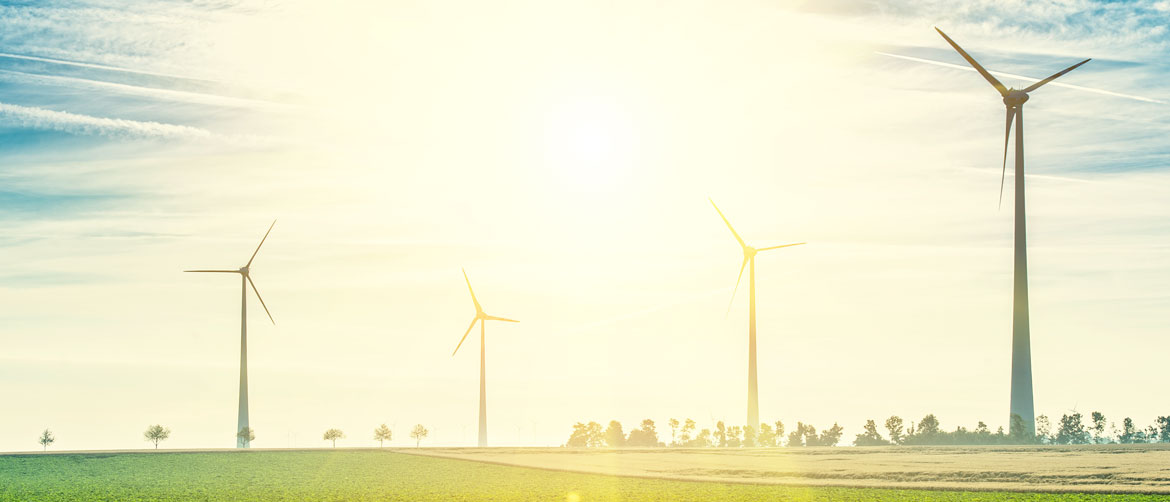 Environment